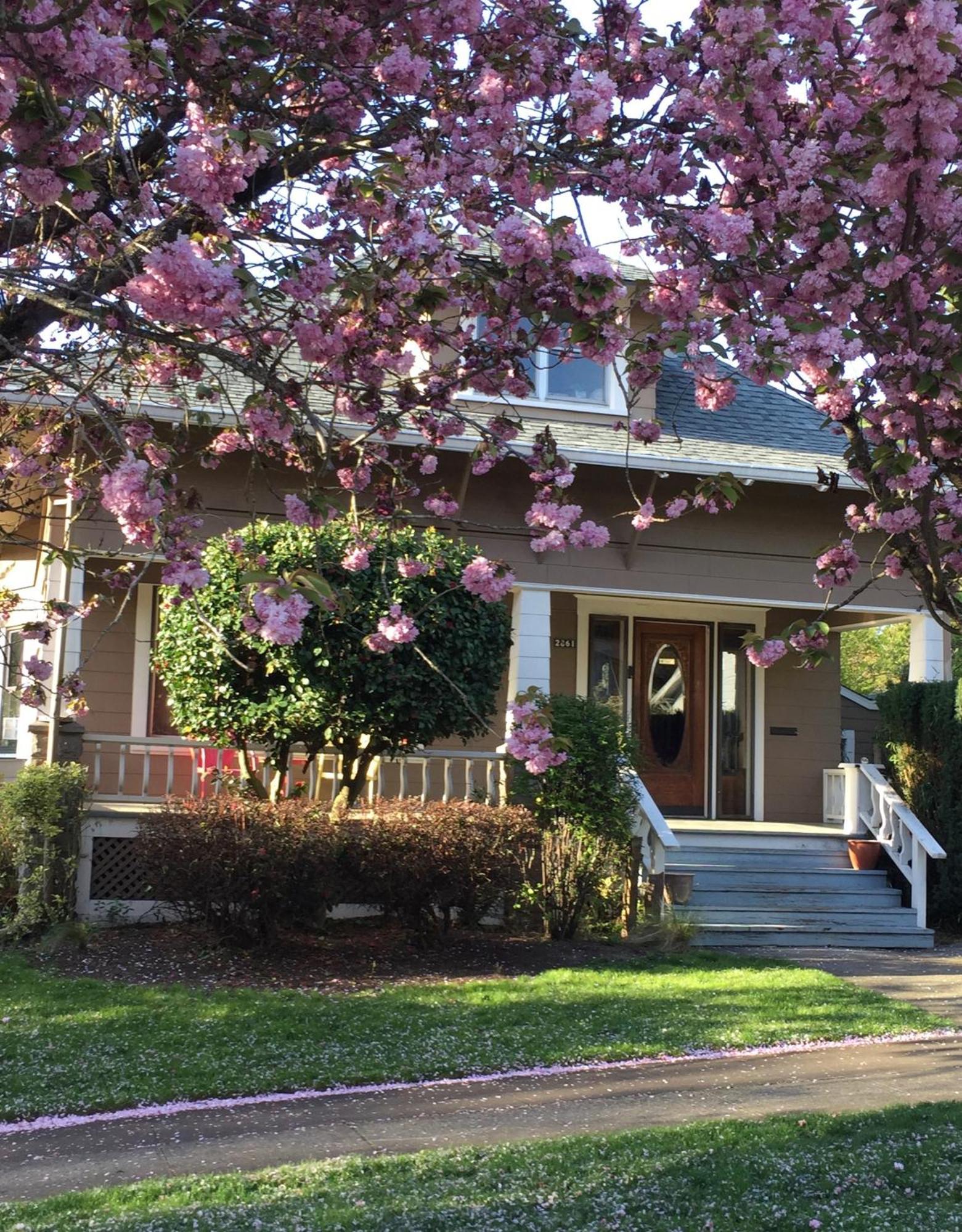 Southeast Portland Comfy & Eclectic Craftsman Home Екстер'єр фото