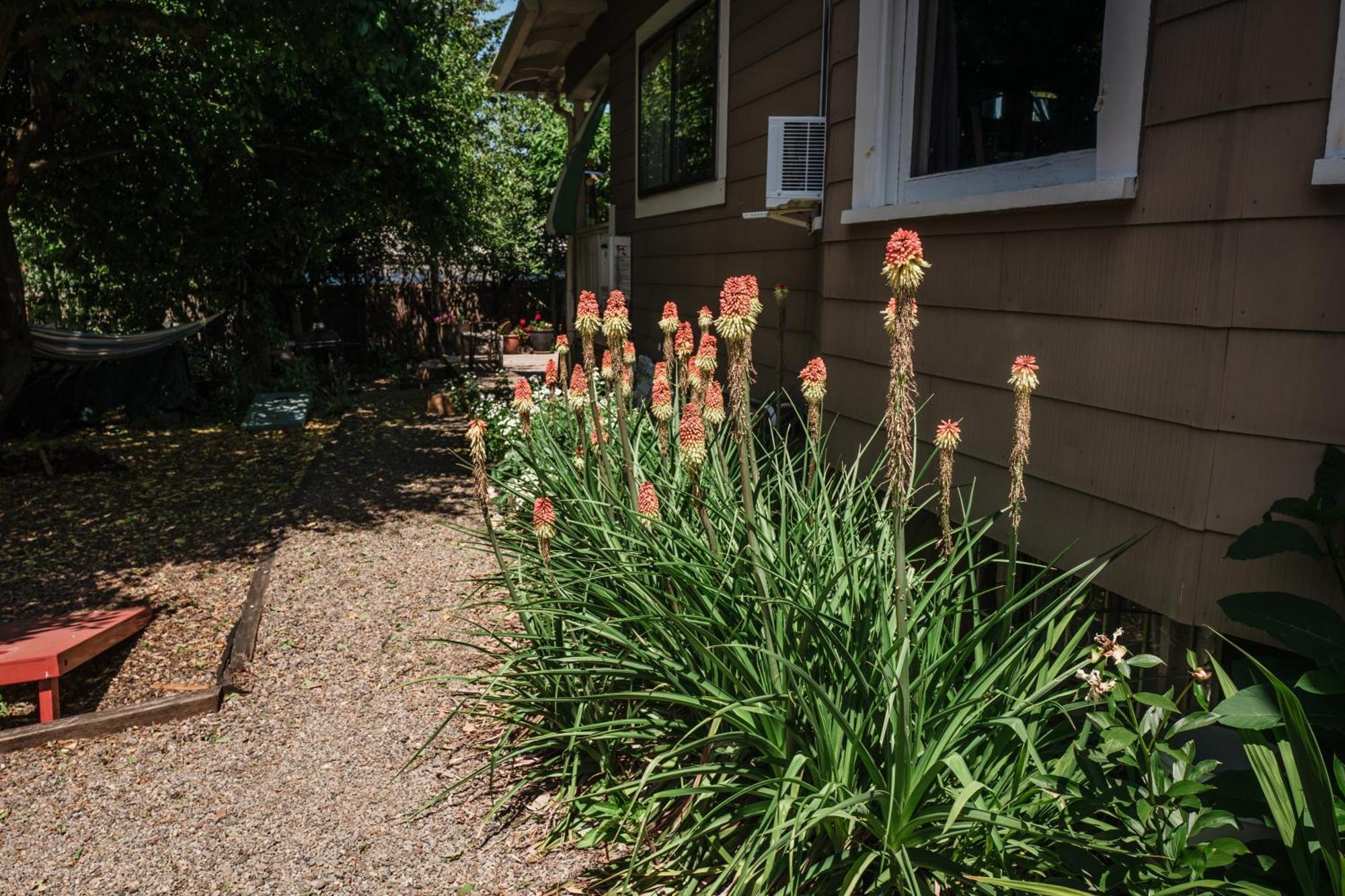 Southeast Portland Comfy & Eclectic Craftsman Home Екстер'єр фото
